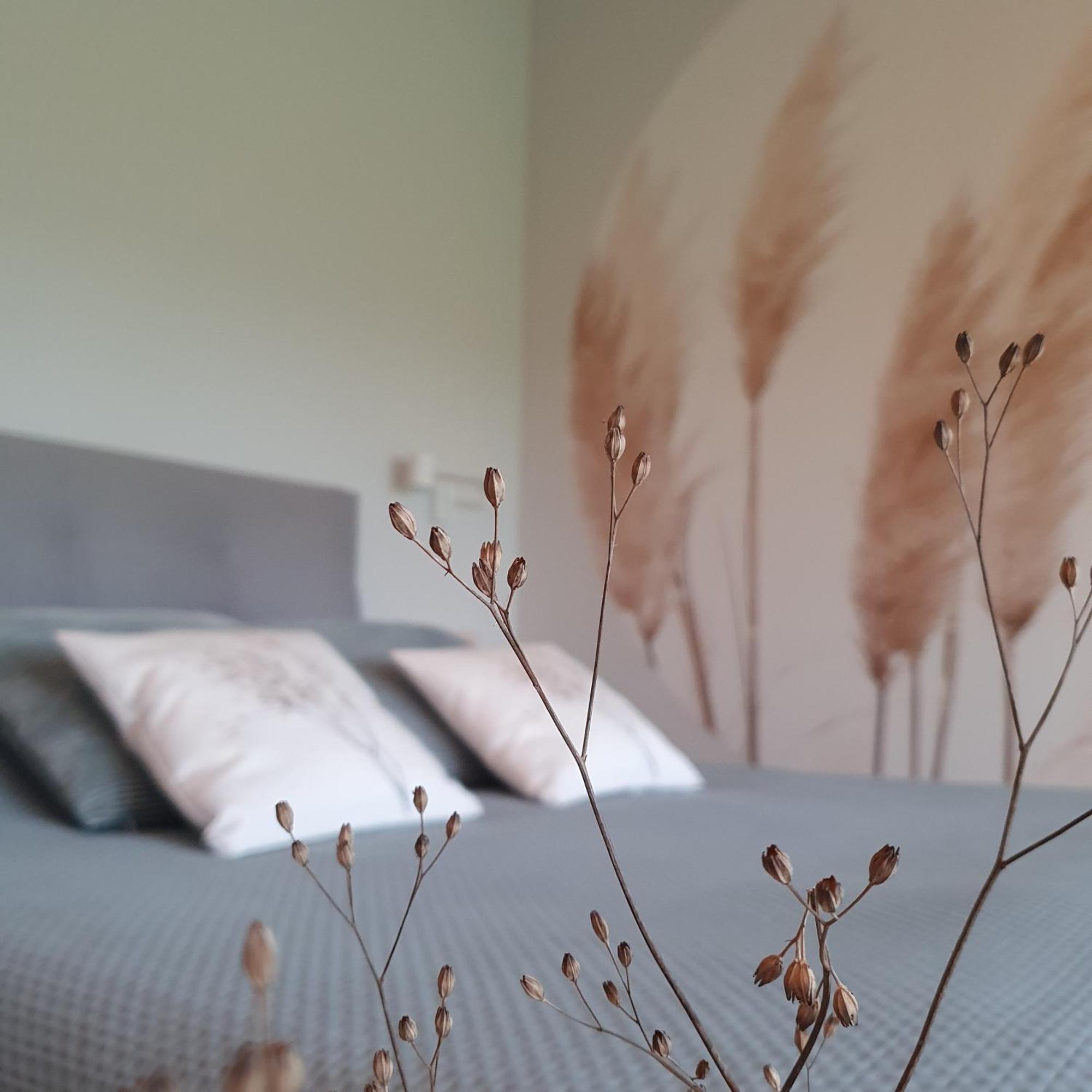 Bed and Breakfast De Buorkerij Tytsjerk Екстер'єр фото